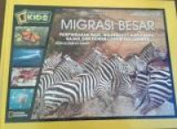 Migrasi Besar : Perpindahan Paus, Wildbest,Kupu - kupu, Gajah dan Hewan Luar Biasa Lainnya