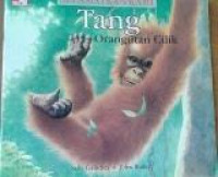 Selamatkan Kami : Tang Orangutan Cilik